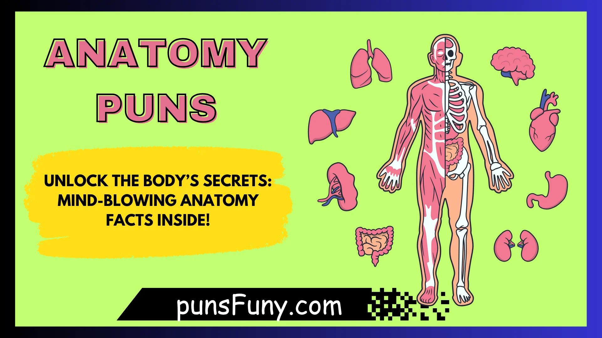 Anatomy Puns