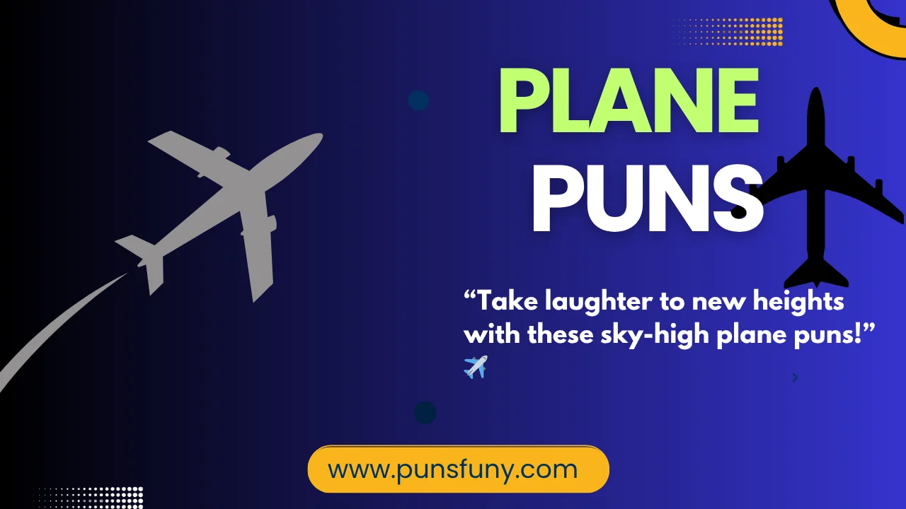 Plane Puns